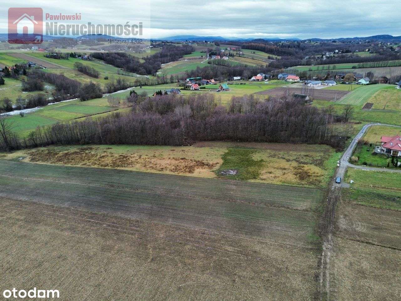 Działka, 6 000 m², Grabie-6