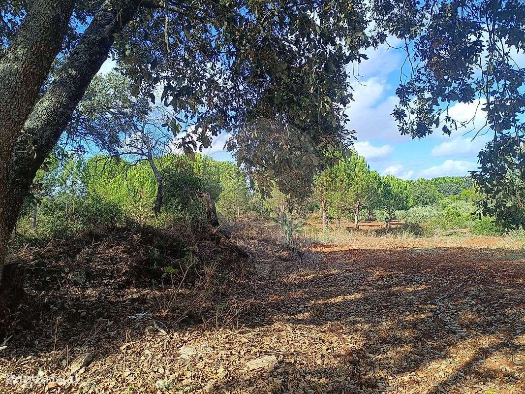 Terreno  para venda - Grande imagem: 3/16