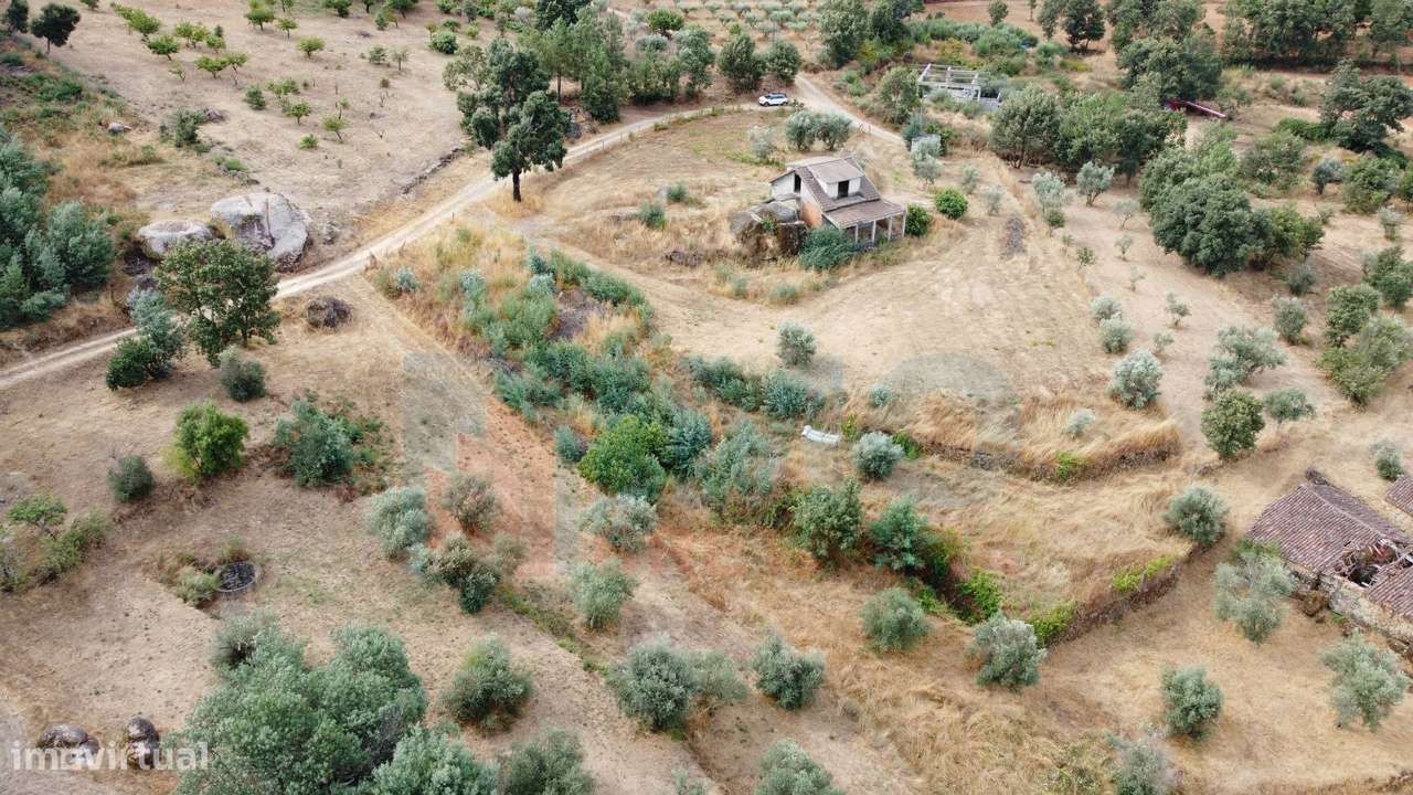 Terreno c/ Moradia p/ Terminar - Pero Viseu - Grande imagem: 4/43