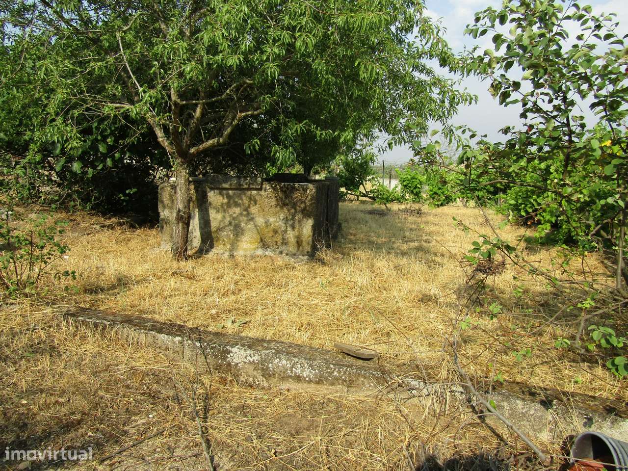 Quintinha em Caçarelhos, Vimioso-7