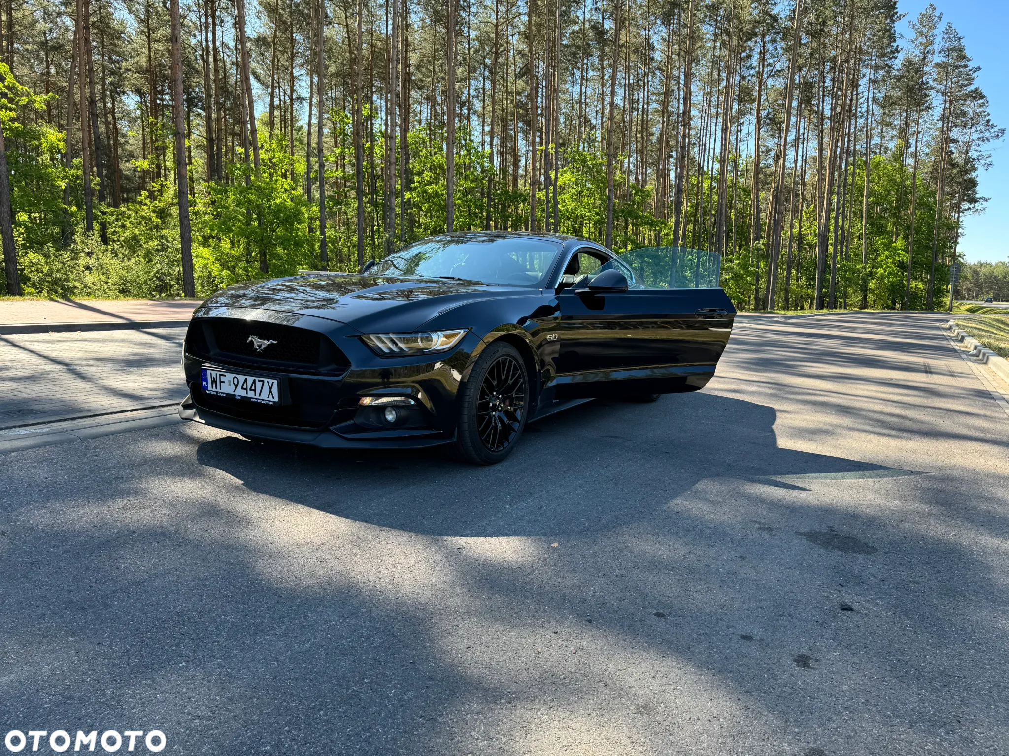 Ford Mustang 5.0 V8 GT - 15