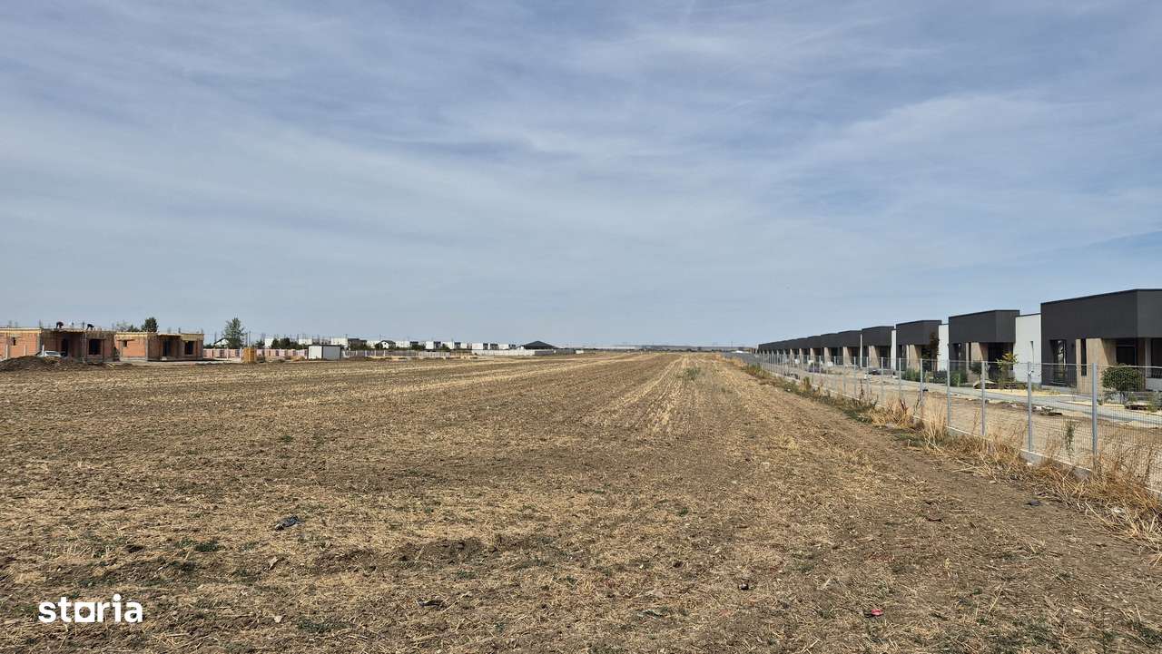 Teren intravilan 16.248 mp - Domnesti - Imagine principală: 4/5