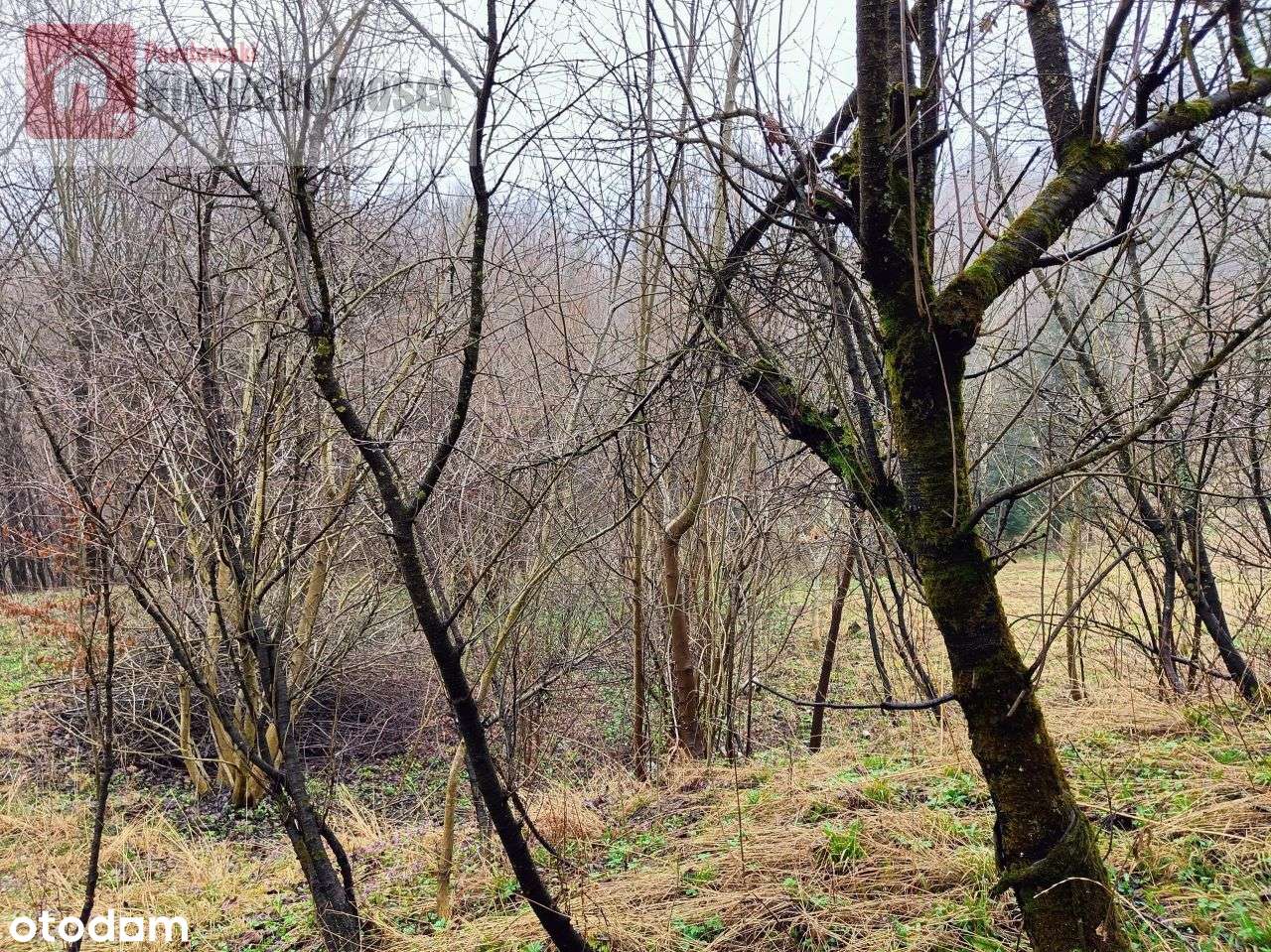 Dom, 130 m², Skawinki - Pełny obrazek: 5/10