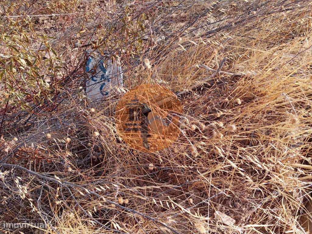 Terreno Rustico com água na serra da Conceição de Tavira - Grande imagem: 4/19