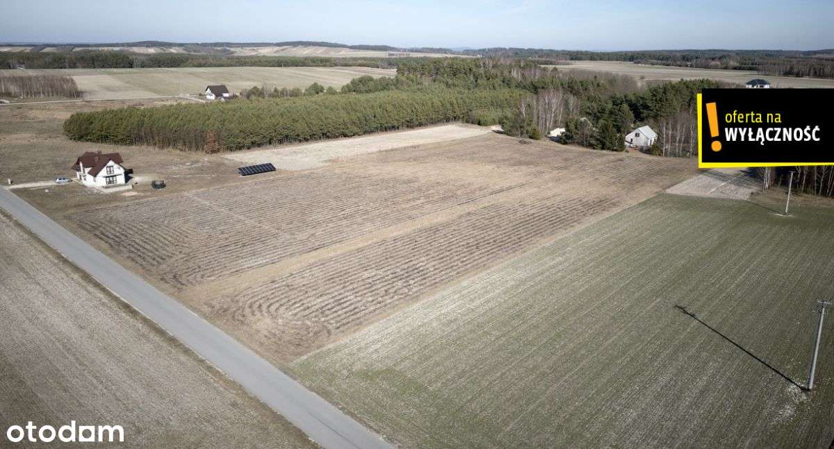 Działka budowlana ponad 1,5 Ha -Ludynia - Pełny obrazek: 4/5