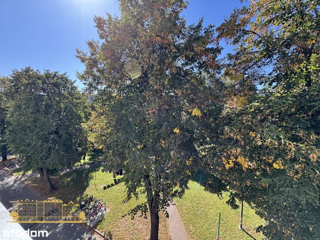 Jasne | 3 pokoje | 60m2 | Centrum Mielca-11