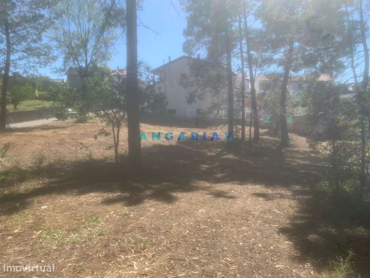 ANG481 - Terreno para construção para Venda em Campo Amarelo, Leiria - Grande imagem: 5/6