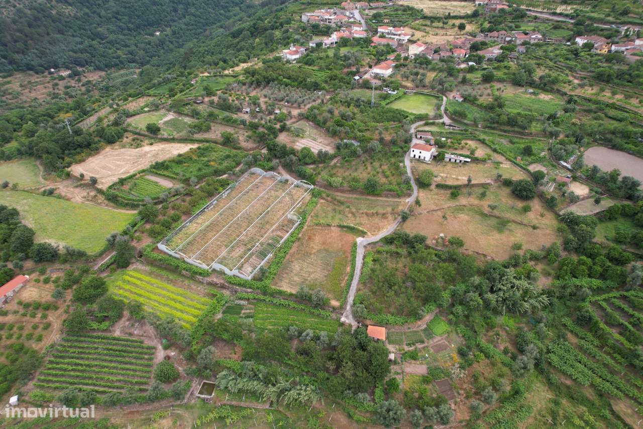 Quinta em Miomães, Resende | Um refúgio rural com cerca de 4 hectares-11