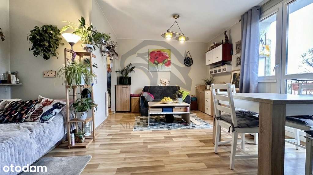 Twoja prywatna strefa Zen-11