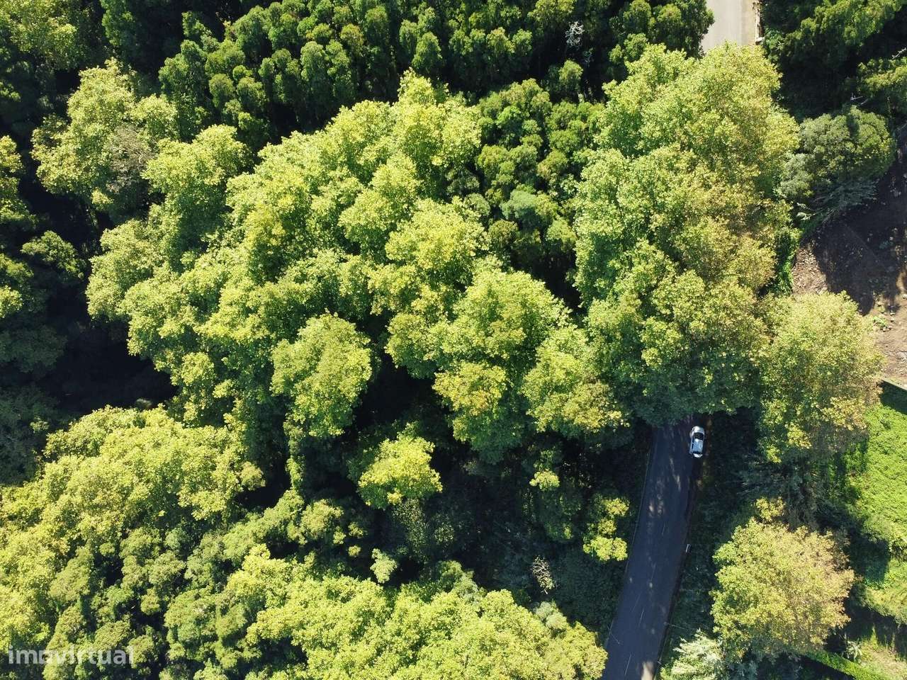 Terreno Rústico em Lomba da Maia - Grande imagem: 5/10