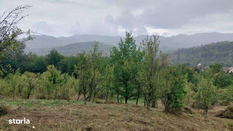 Teren de vanzare - Imagine principală: 4/6