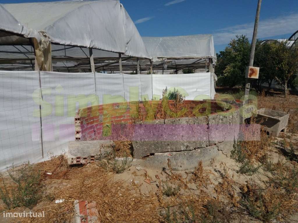 Moradia Ruina junto BA6 Montijo inserida em terreno c/ 3 ha-12