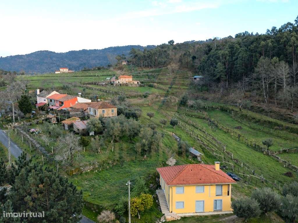 Propriedade com Casa Antiga T3 para Restauro - Beiral do Lima-26
