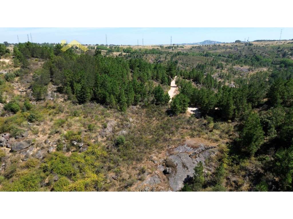 Terreno rústico com 4.750m2, para venda, na freguesia de Caféde. - Grande imagem: 4/7