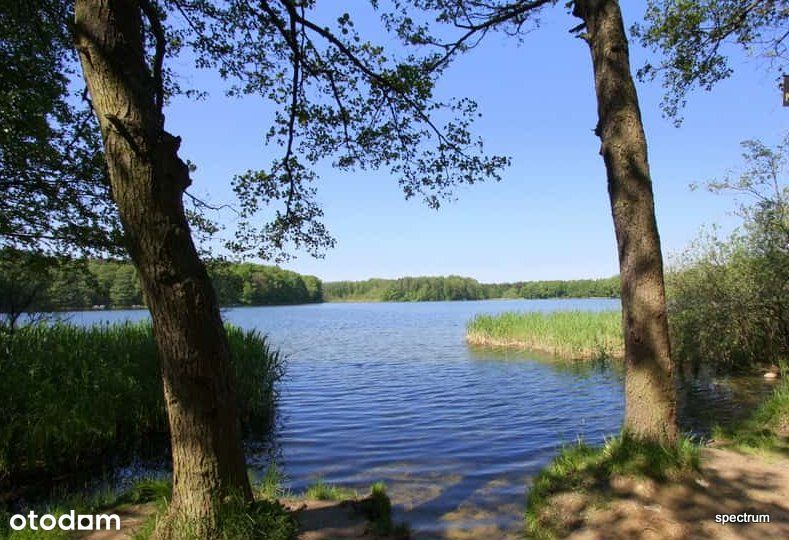 Urokliwa Działka w Otoczeniu Lasów i Jezior