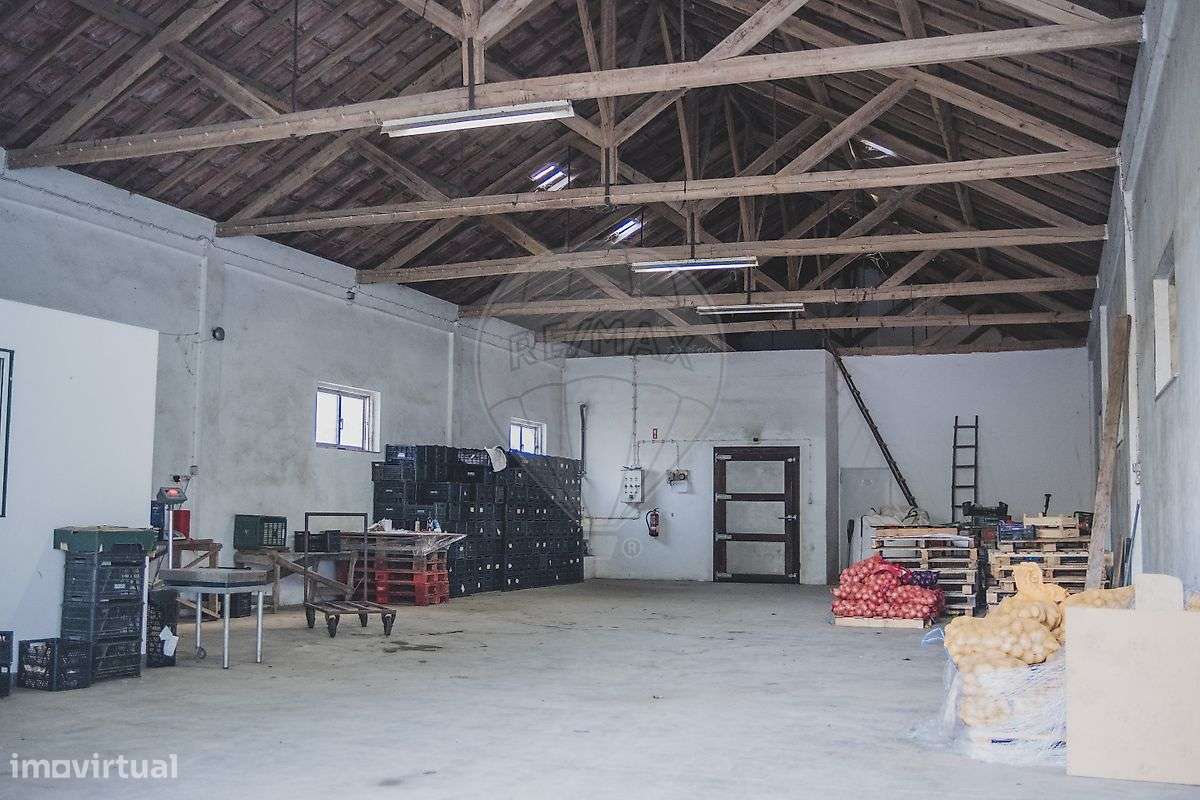 Armazém  para arrendamento - Grande imagem: 4/15