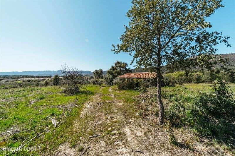 Quinta T1 / Fundão, Monte Leal - Grande imagem: 4/20