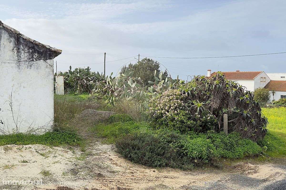 Quinta  para venda-15