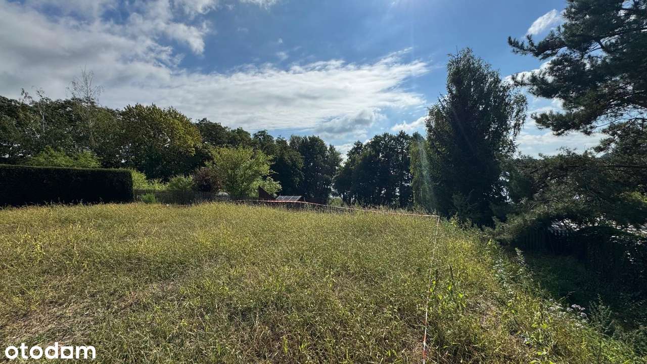 Cudownie położona działka z domkiem i widokiem na jezioro Powidzkie! - Pełny obrazek: 5/15