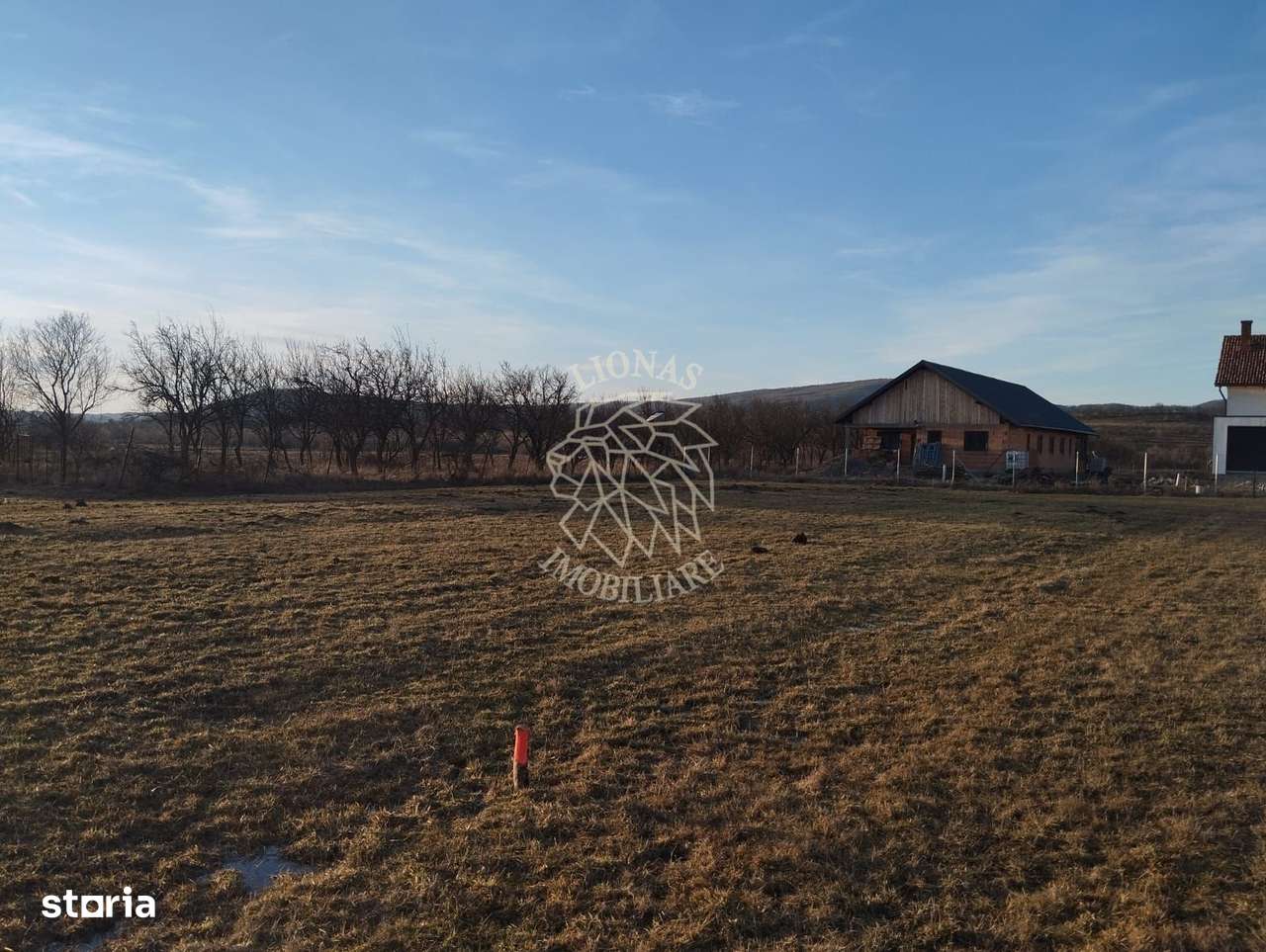 Teren 3500 mp-livada-Rusu Bargaului 13km de Bistrita - Imagine principală: 3/3