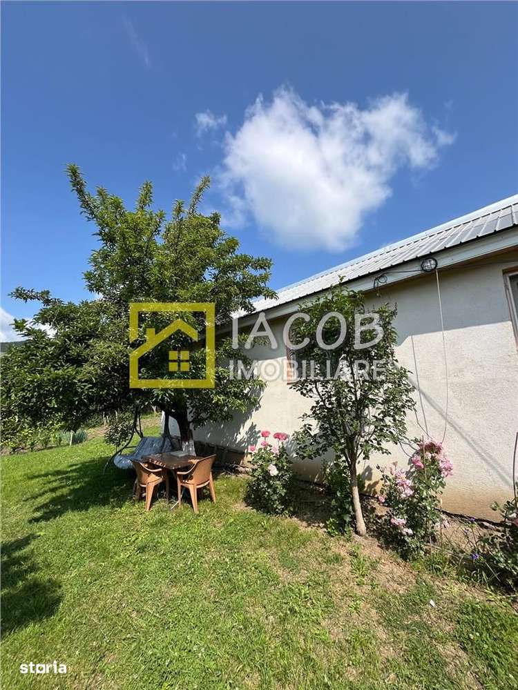 Casa cu 1690 mp teren, vie pe rod, comuna Sarata, jud. Bacau - Imagine principală: 4/20