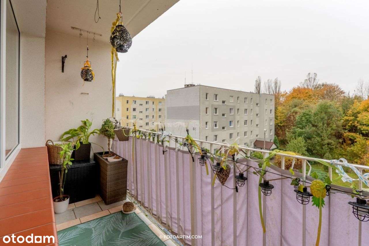 Przestronne, słoneczne mieszkanie pośród zieleni-3