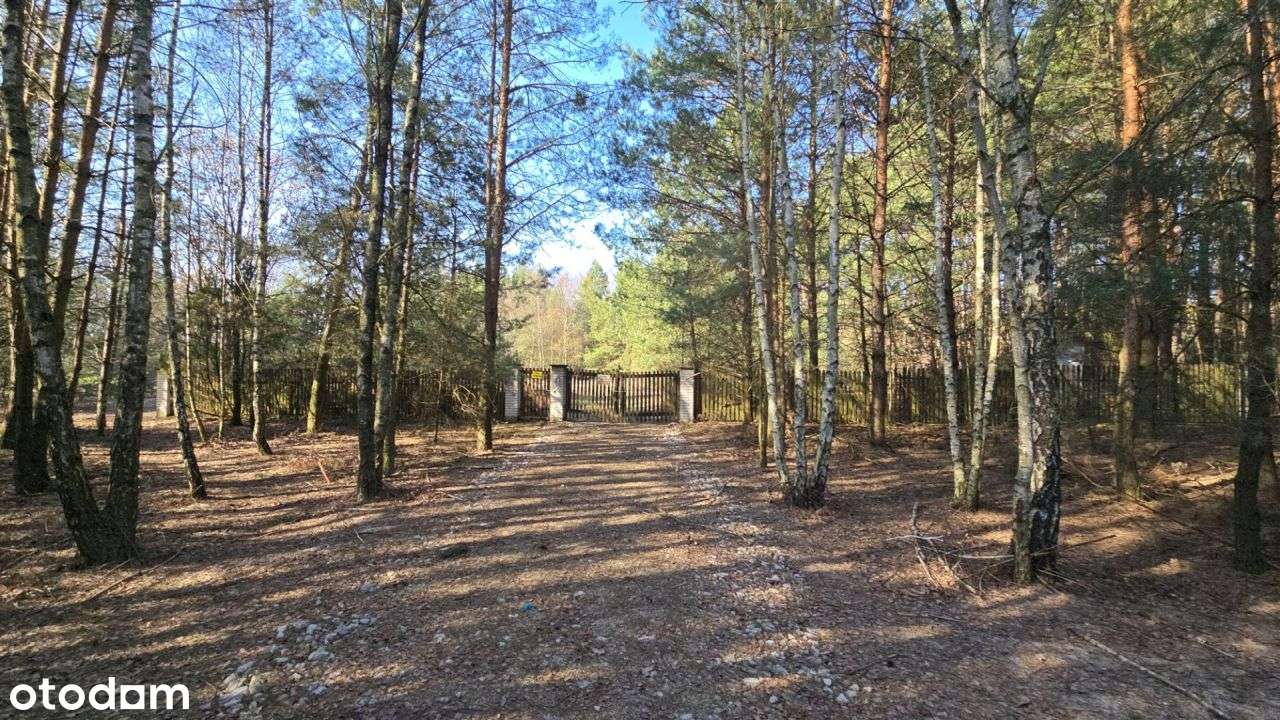 Urokliwa okolica czysty leśny klimat blisko miasta-14