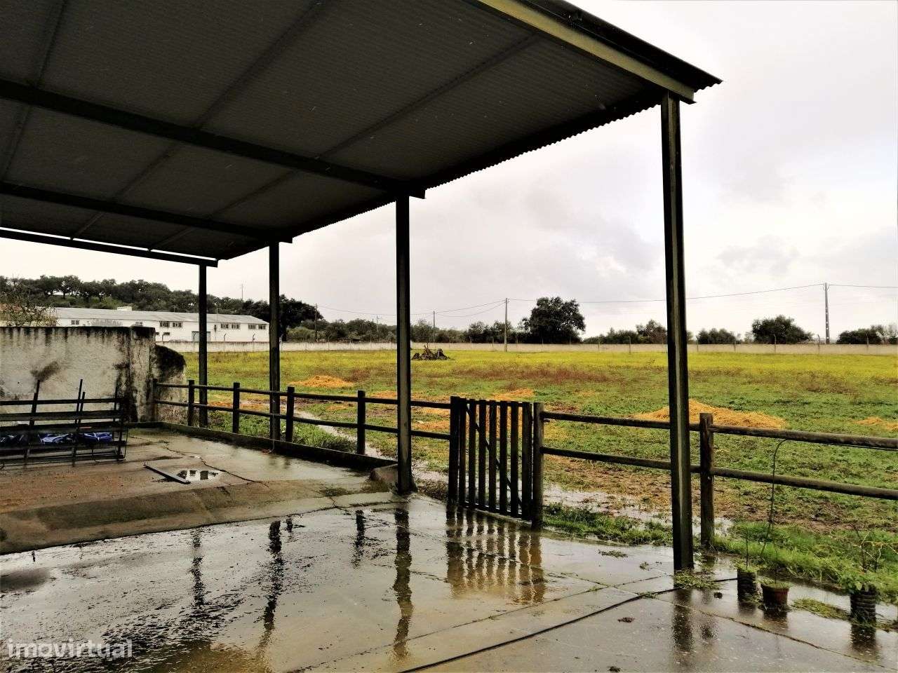 Quinta em Évora com 2,25 ha vocacionada para o mundo equestre-14