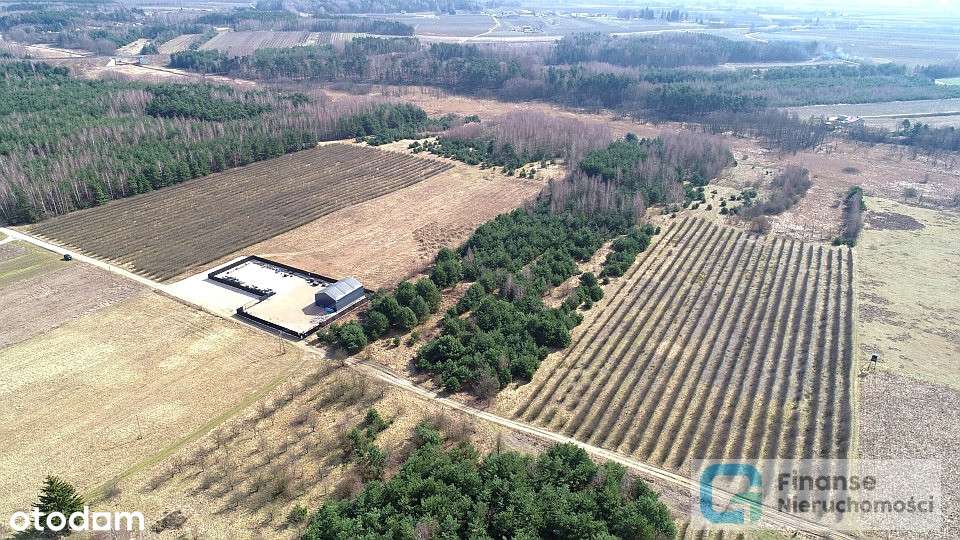 Działka inwestycyjna, 17 374 m2, Niższa Cena! - Pełny obrazek: 4/14