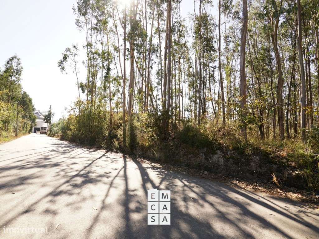 Terreno para Atividades Económicas - Oliveira de Azeméis - Grande imagem: 4/9