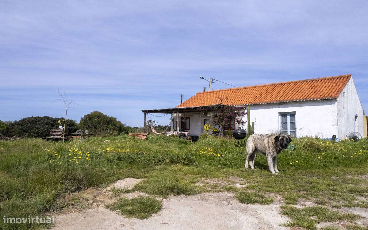 QUINTA AGRÍCOLA ENCOSTADA AO ATLÂNTICO - Grande imagem: 4/13