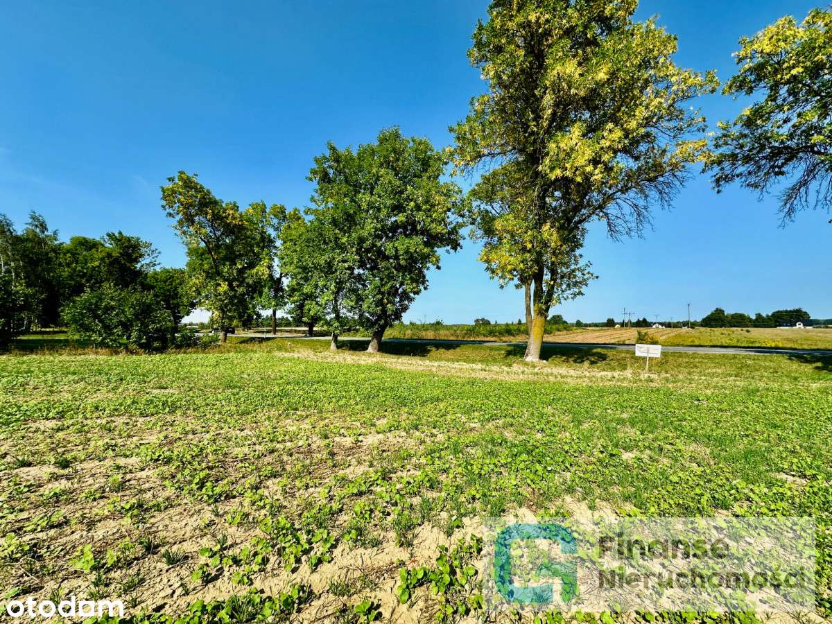 Działka rolno-budowlana na sprzedaż w Cielądzu - Pełny obrazek: 5/7