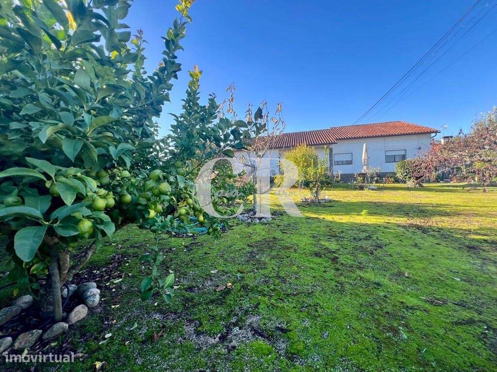 Excelente moradia térrea e independente com jardim em Arega - Figueiró-9