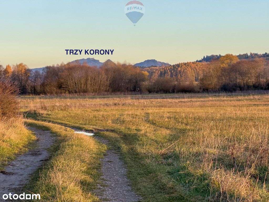 Nieruchomość gruntowa Frydman - Pełny obrazek: 5/6