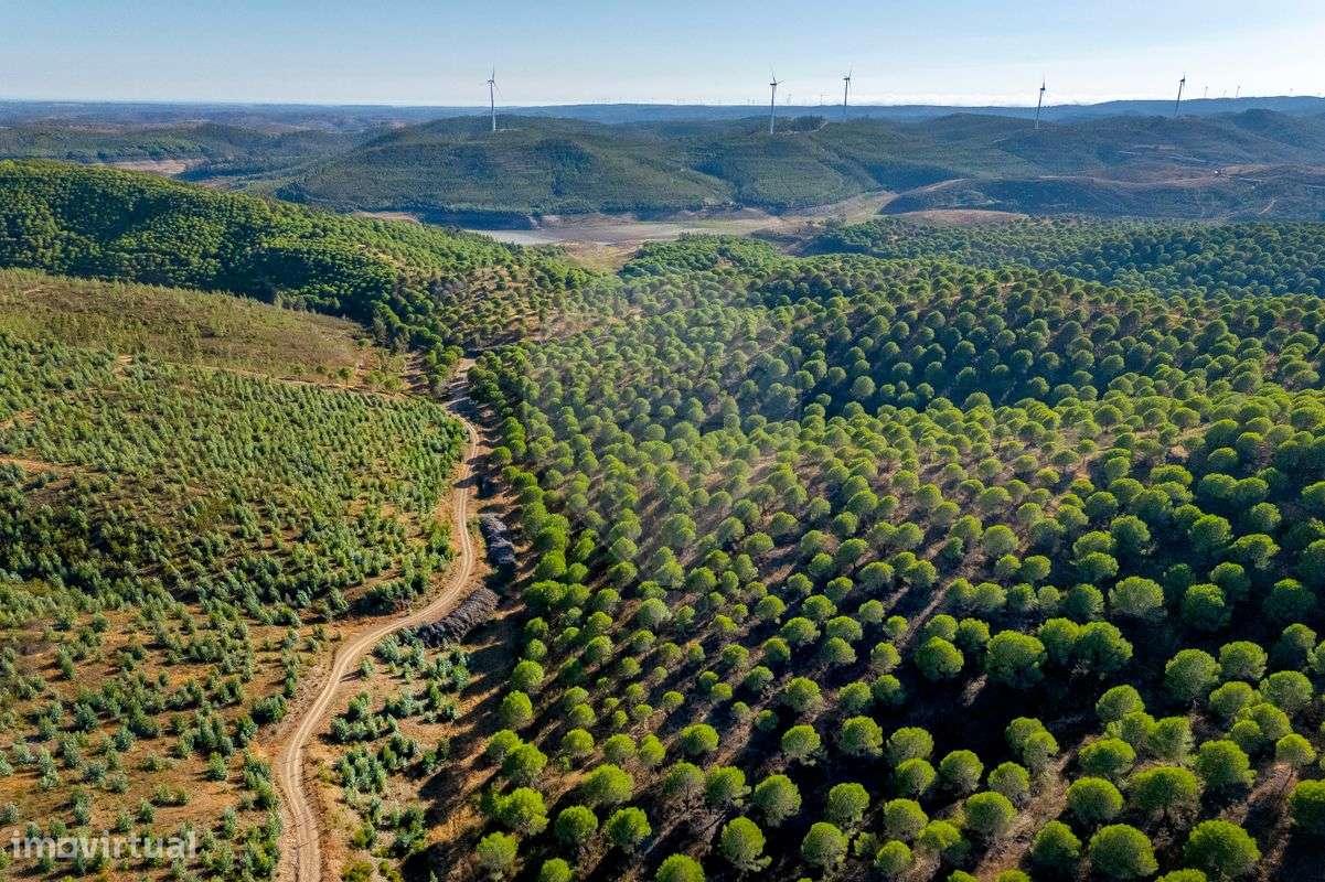 Quinta  para venda - Grande imagem: 3/17