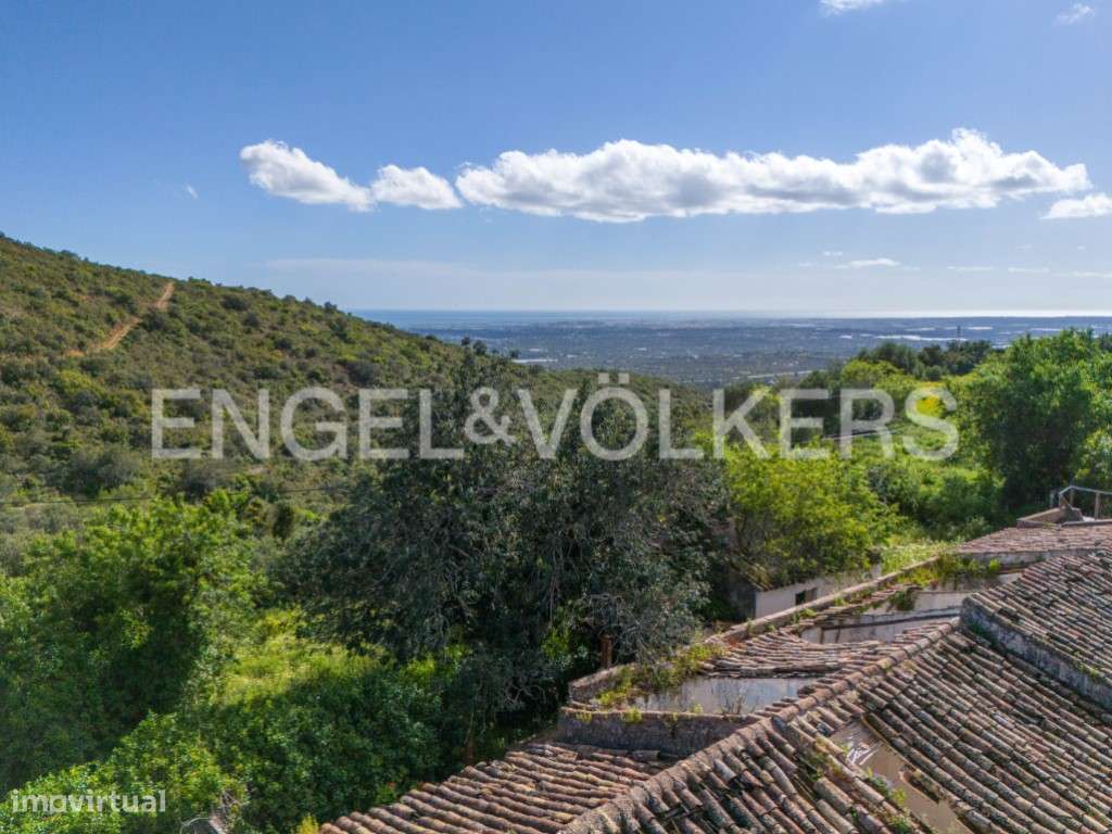 Investimento - Terreno com ruína em Moncarapacho - Grande imagem: 2/12