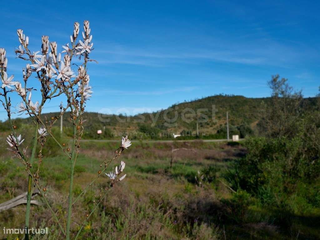 Terreno Rústico - Natureza e Tranquilidade perto de Alcoutim - Grande imagem: 5/12