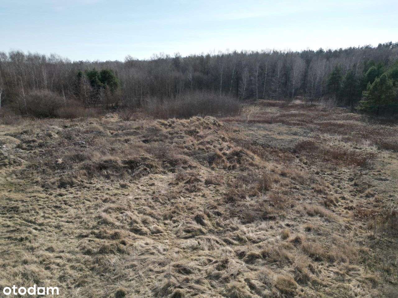 Piękna działka 985m2 w otulinie lasu. Słupno Marki-14