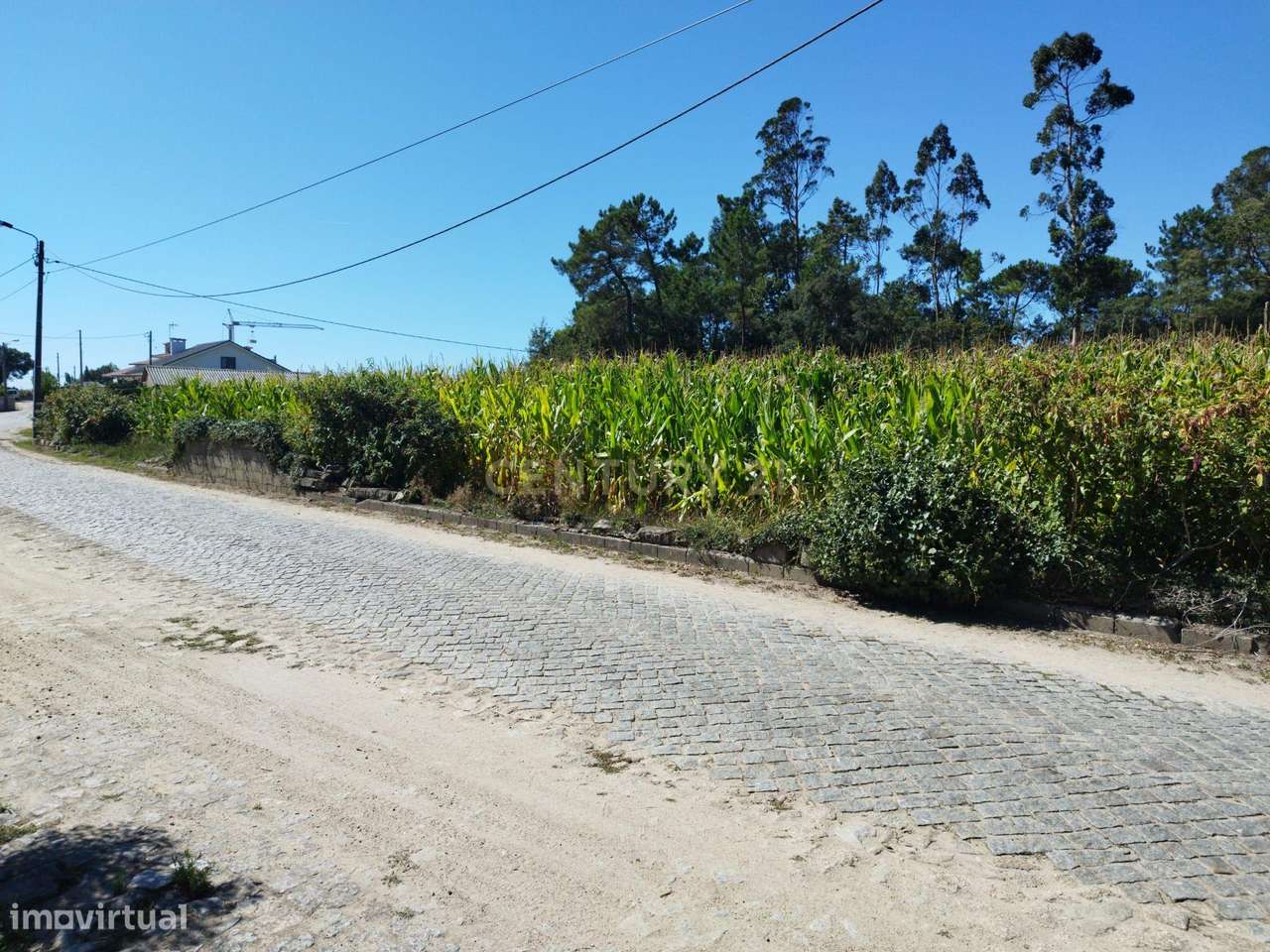 Terreno Para construção em Gemeses com 4300m2 - Grande imagem: 4/13
