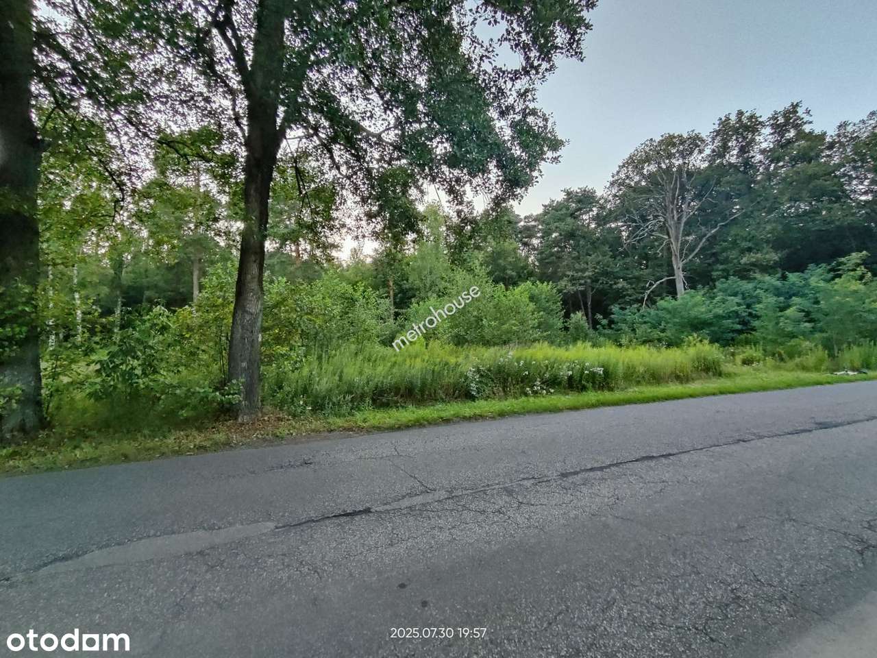 Działka budowlana w Tuszyn Lesie - Pełny obrazek: 5/6