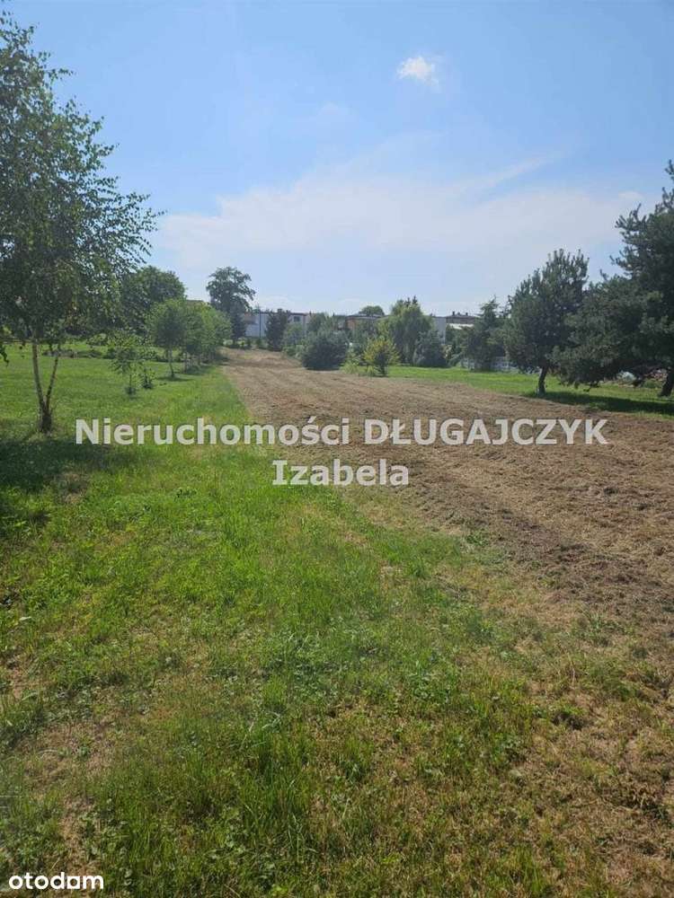 Żory Rój działka-2