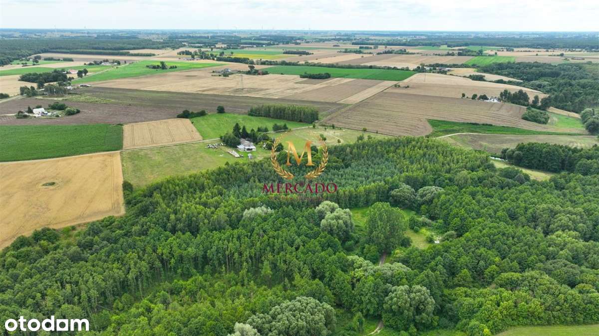 Gospodarstwo 22ha z dostępem do natury – Psary! - Pełny obrazek: 4/20