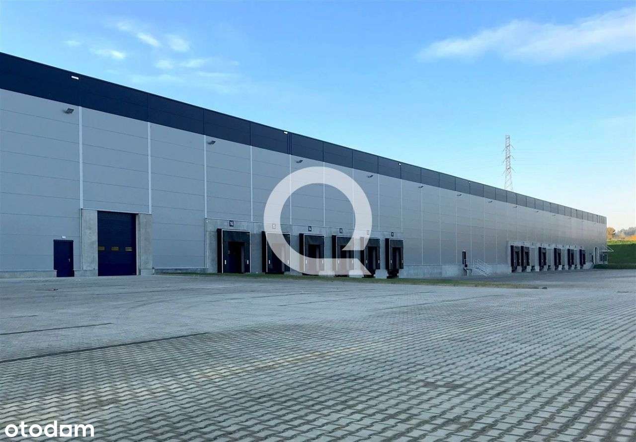 A-klasowy magazyn w pobliżu S10! - Pełny obrazek: 5/6