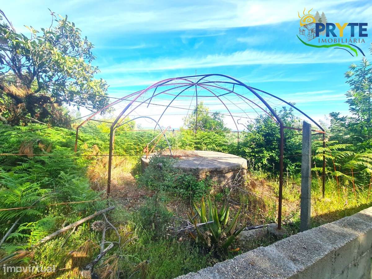 Quintinha agrícola situada Casalinho/Tapada-16