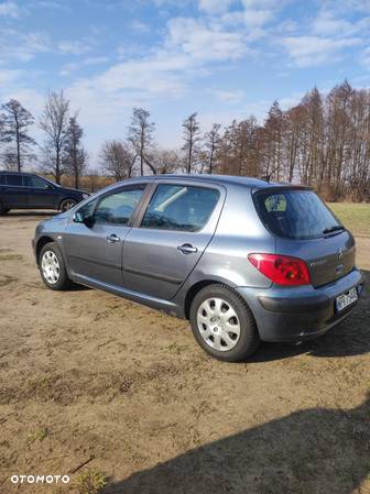 Peugeot 307 1.6 - 8