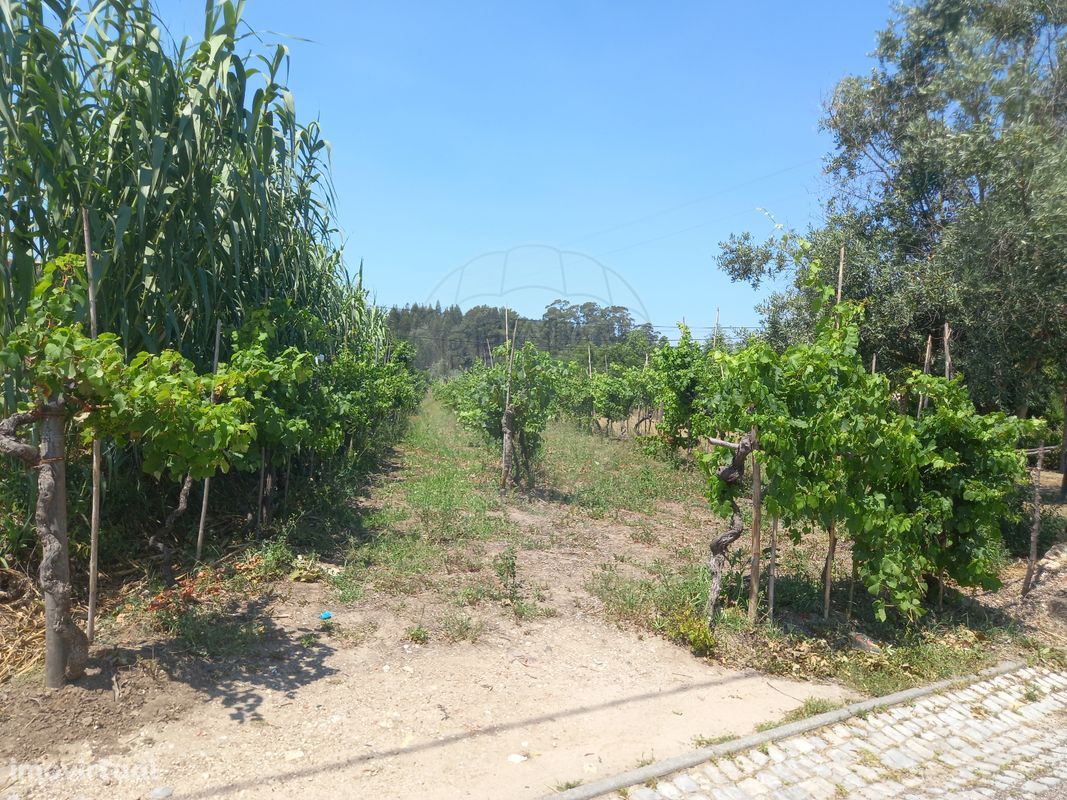 Terreno  para venda