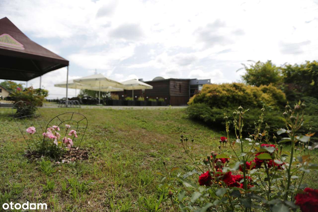 Dochodowy lokal gastronomiczny w ciekawym miejscu - Pełny obrazek: 4/15