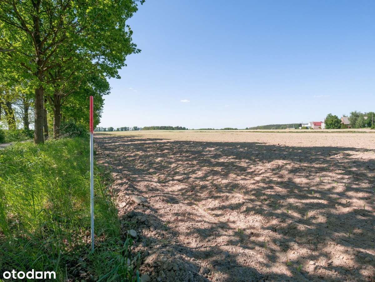 DZIAŁKI BUDOWLANE NA SPRZEDAŻ - BLISKO MOSINY 120 zł/mkw!-10