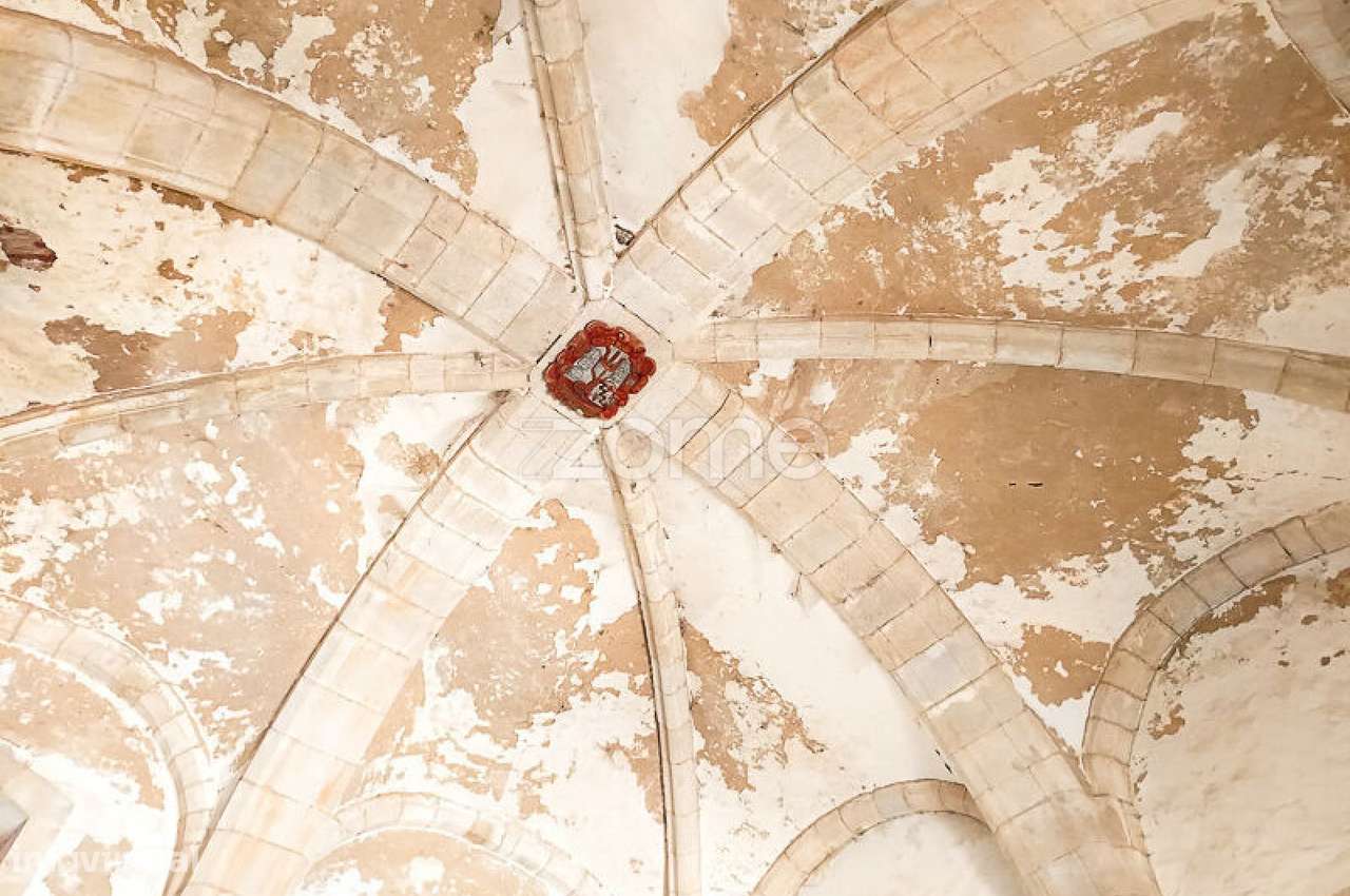 Quinta do Mosteiro de Salzedas com mais 17 ha e património histórico-48