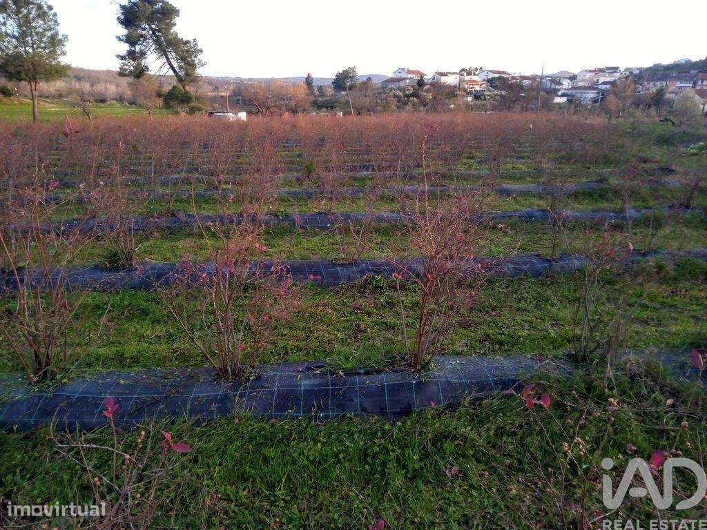 Terreno Agrícola em Orjais de 13681,00 m2 - Grande imagem: 5/28